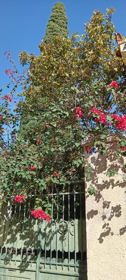 Athenian Asty Guesthouse Kültér fotó