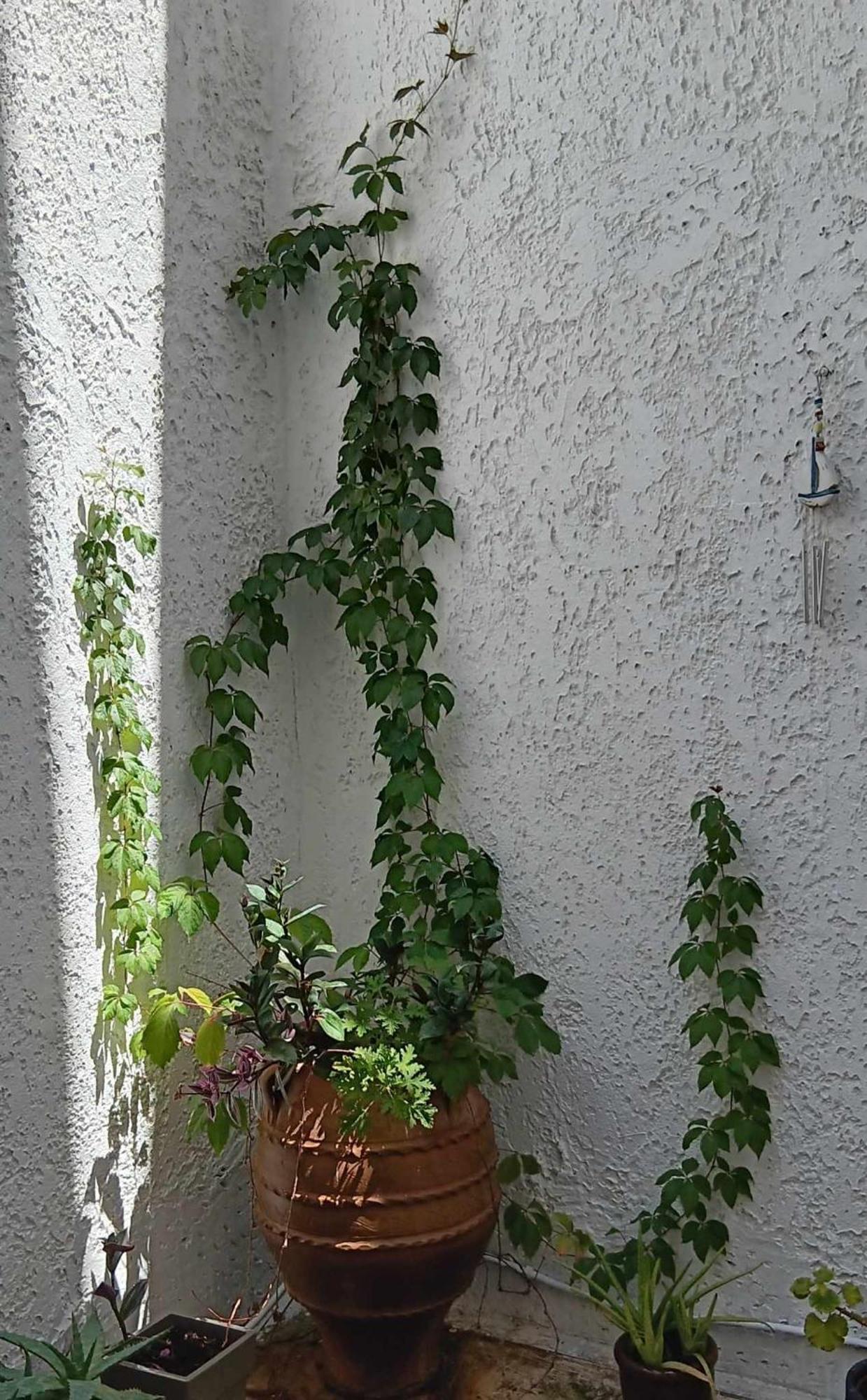 Athenian Asty Guesthouse Kültér fotó